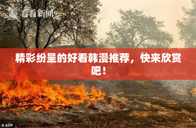 精彩纷呈的好看韩漫推荐，快来欣赏吧！