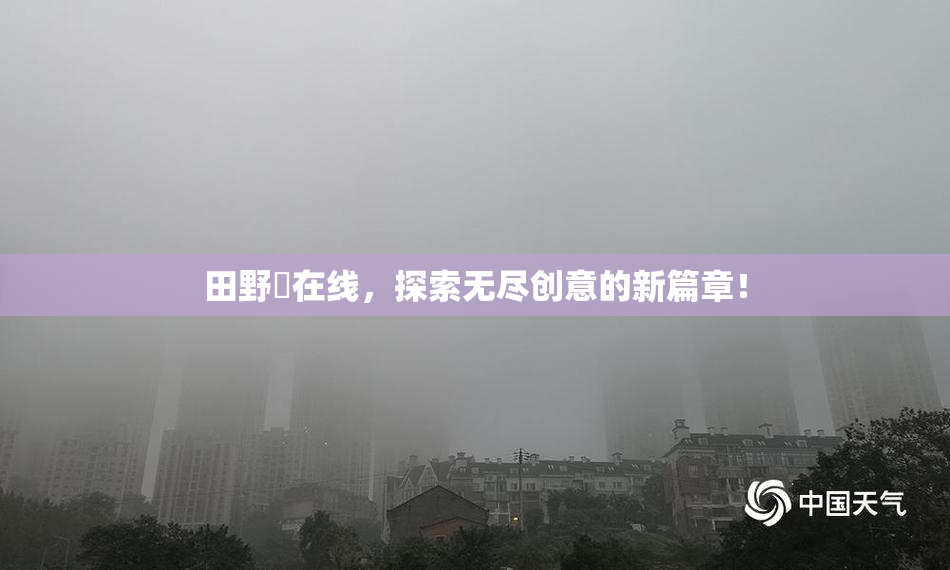 田野憂在线，探索无尽创意的新篇章！