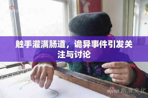 触手灌满肠道，诡异事件引发关注与讨论