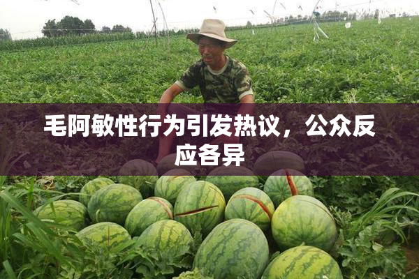 毛阿敏性行为引发热议，公众反应各异