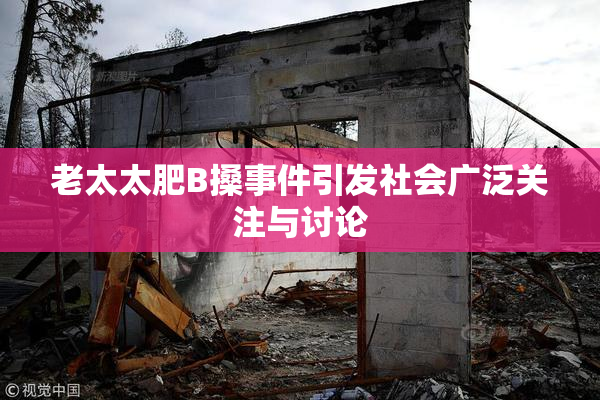 老太太肥B搡事件引发社会广泛关注与讨论
