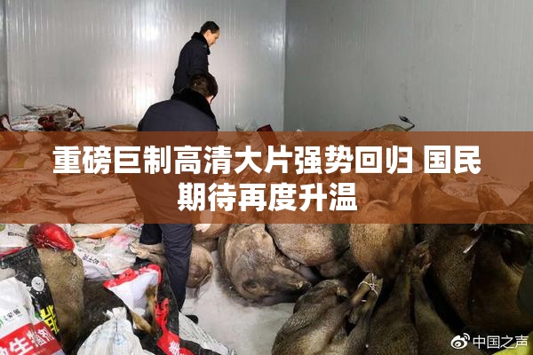 重磅巨制高清大片强势回归 国民期待再度升温