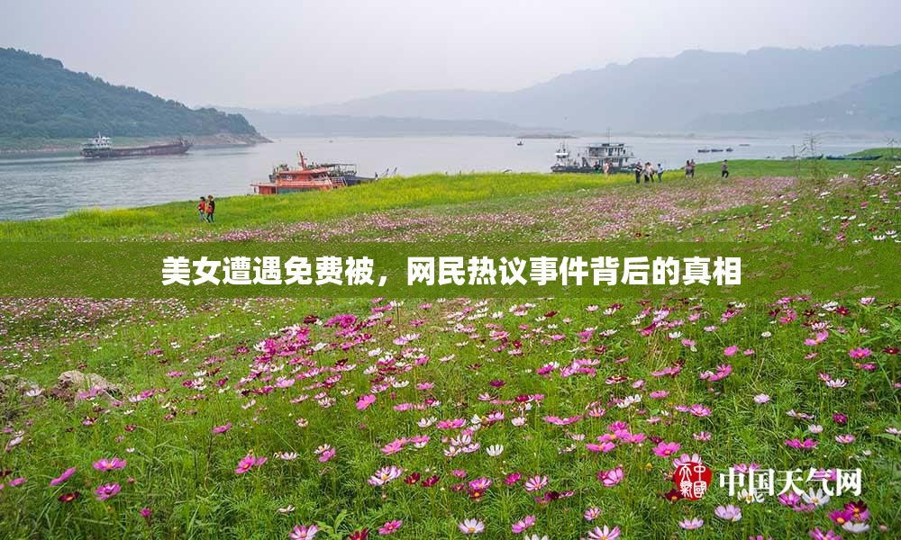 美女遭遇免费被，网民热议事件背后的真相