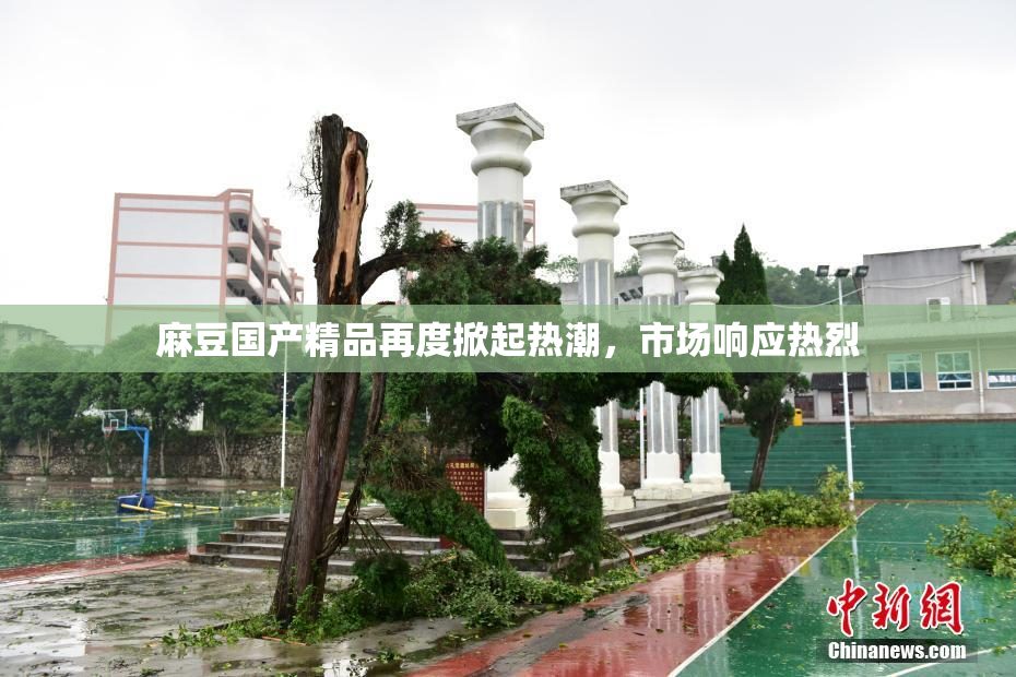 麻豆国产精品再度掀起热潮，市场响应热烈