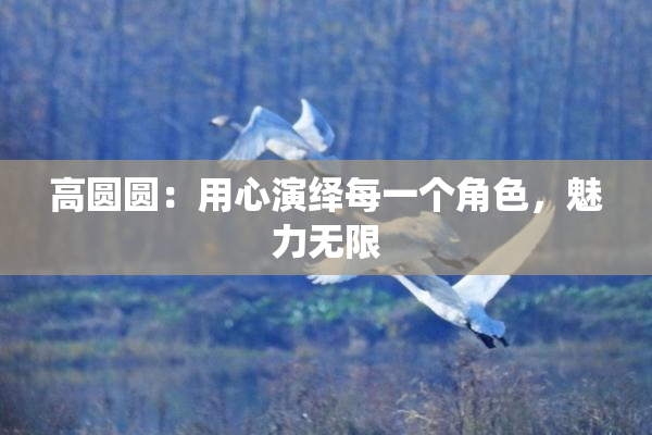 高圆圆：用心演绎每一个角色，魅力无限