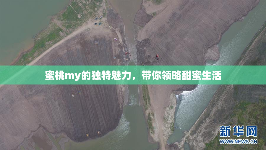 蜜桃my的独特魅力，带你领略甜蜜生活