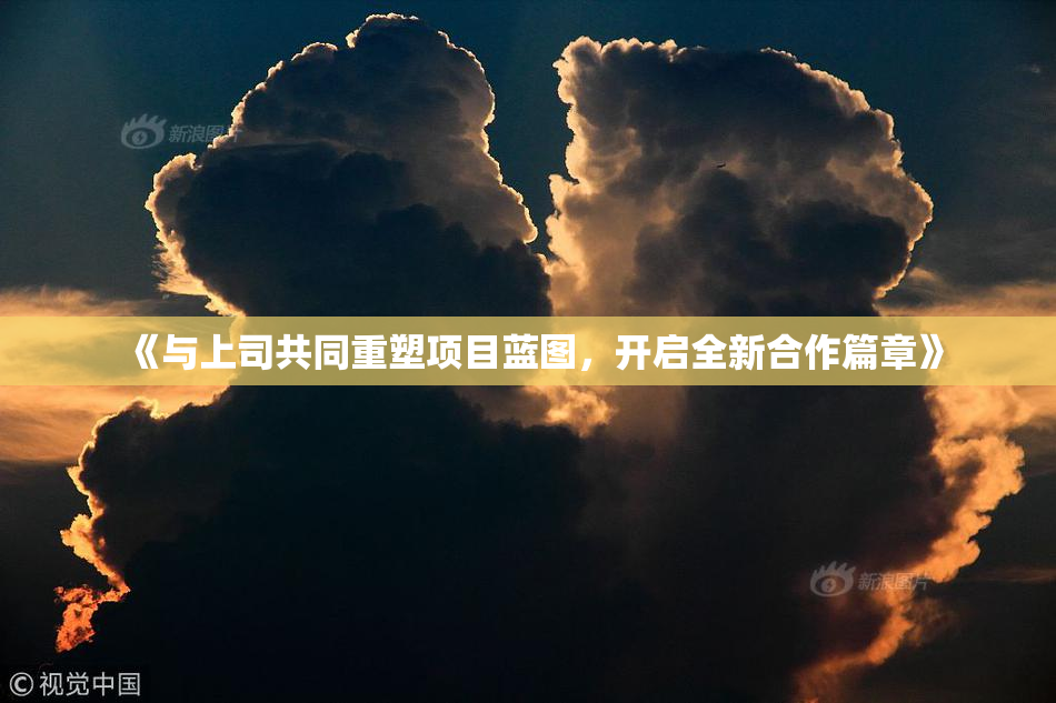 《与上司共同重塑项目蓝图，开启全新合作篇章》