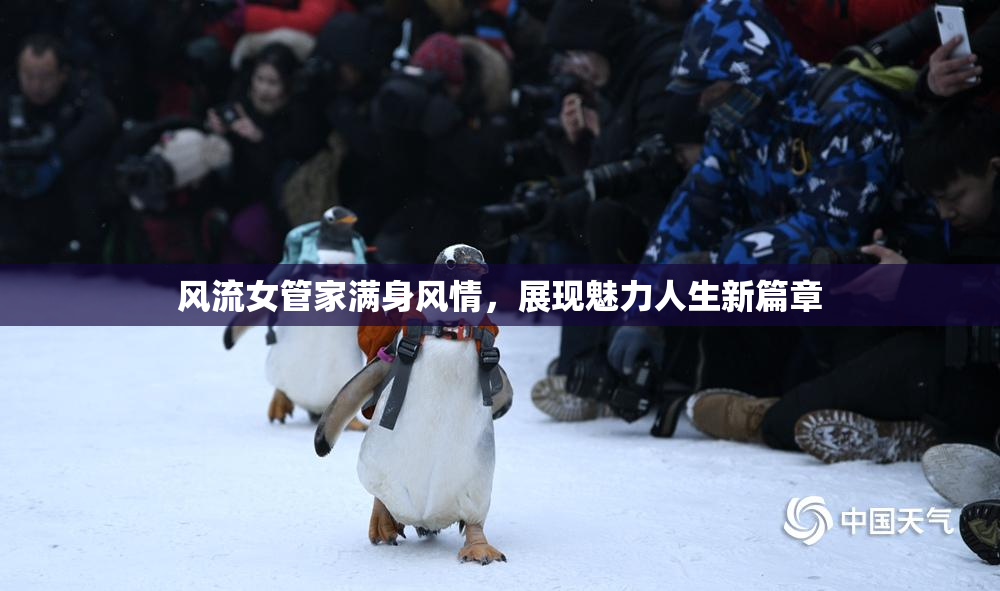 风流女管家满身风情，展现魅力人生新篇章