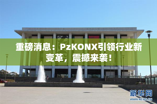 重磅消息：PzKONX引领行业新变革，震撼来袭！