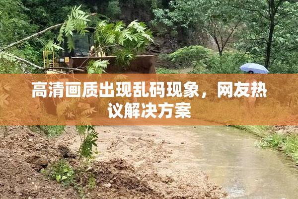 高清画质出现乱码现象，网友热议解决方案