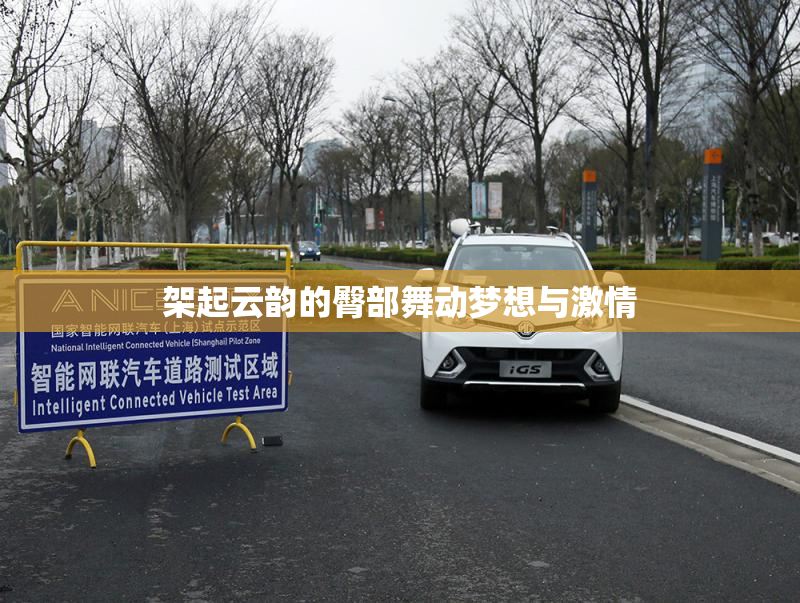 架起云韵的臀部舞动梦想与激情