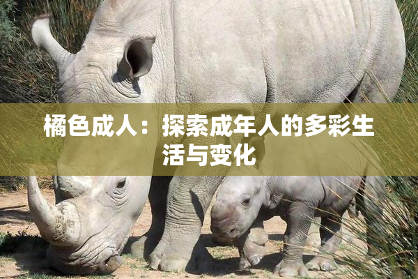 橘色成人：探索成年人的多彩生活与变化
