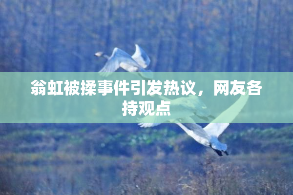 翁虹被揉事件引发热议，网友各持观点