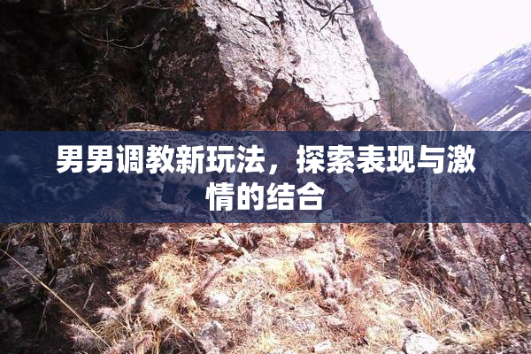 男男调教新玩法，探索表现与激情的结合