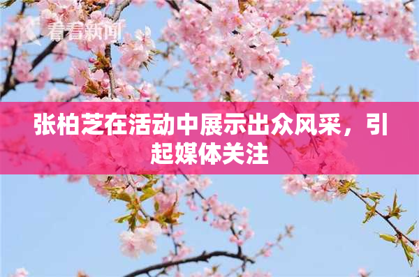 张柏芝在活动中展示出众风采，引起媒体关注