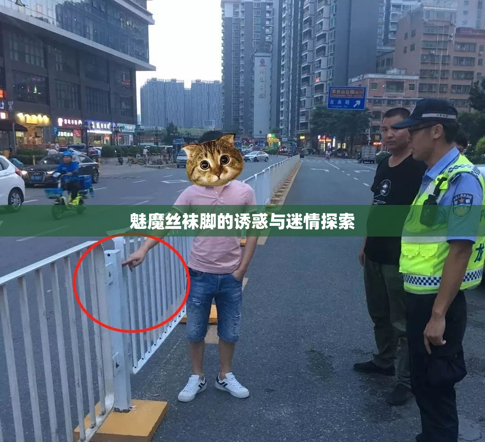 魅魔丝袜脚的诱惑与迷情探索