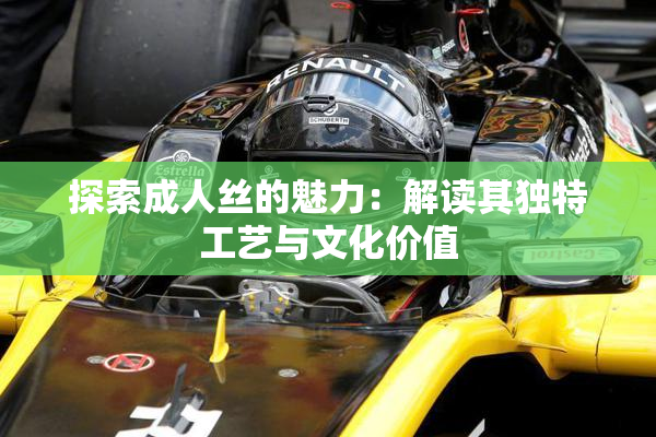 探索成人丝的魅力：解读其独特工艺与文化价值