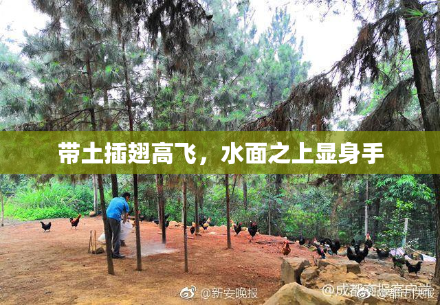 带土插翅高飞，水面之上显身手