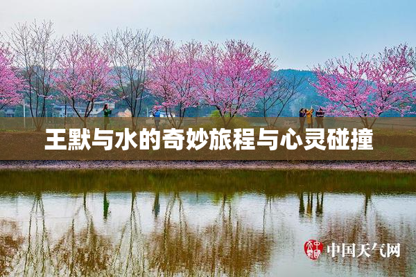 王默与水的奇妙旅程与心灵碰撞