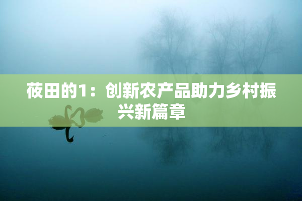 莜田的1：创新农产品助力乡村振兴新篇章