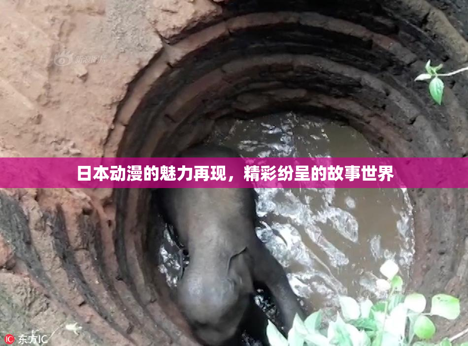 日本动漫的魅力再现，精彩纷呈的故事世界