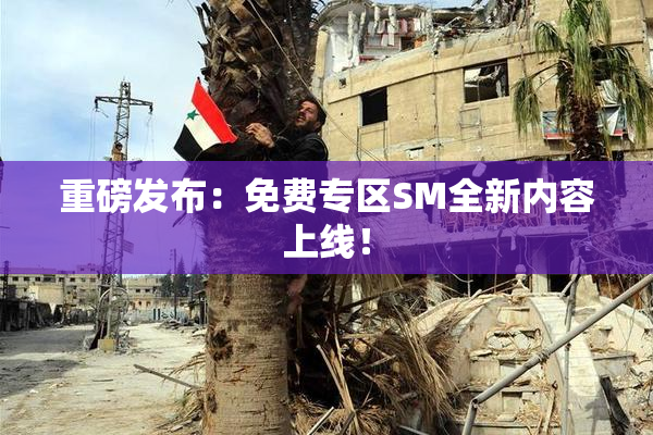 重磅发布：免费专区SM全新内容上线！