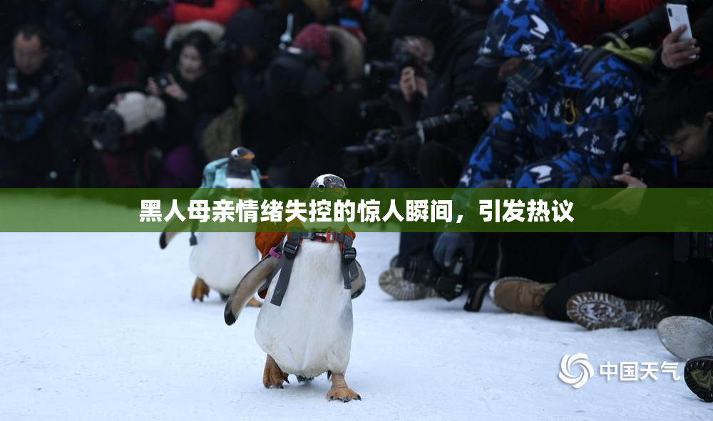 黑人母亲情绪失控的惊人瞬间，引发热议