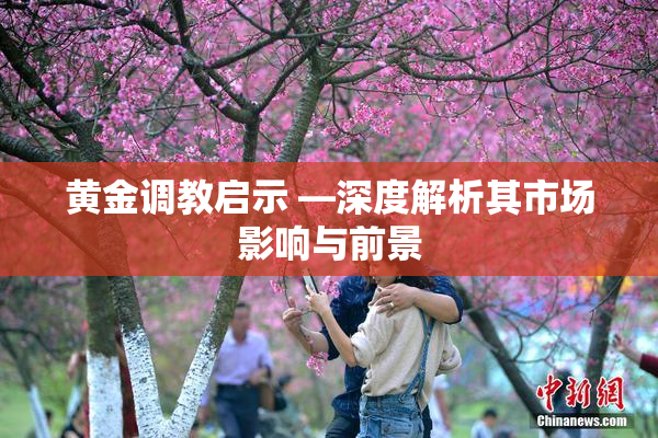 黄金调教启示 —深度解析其市场影响与前景
