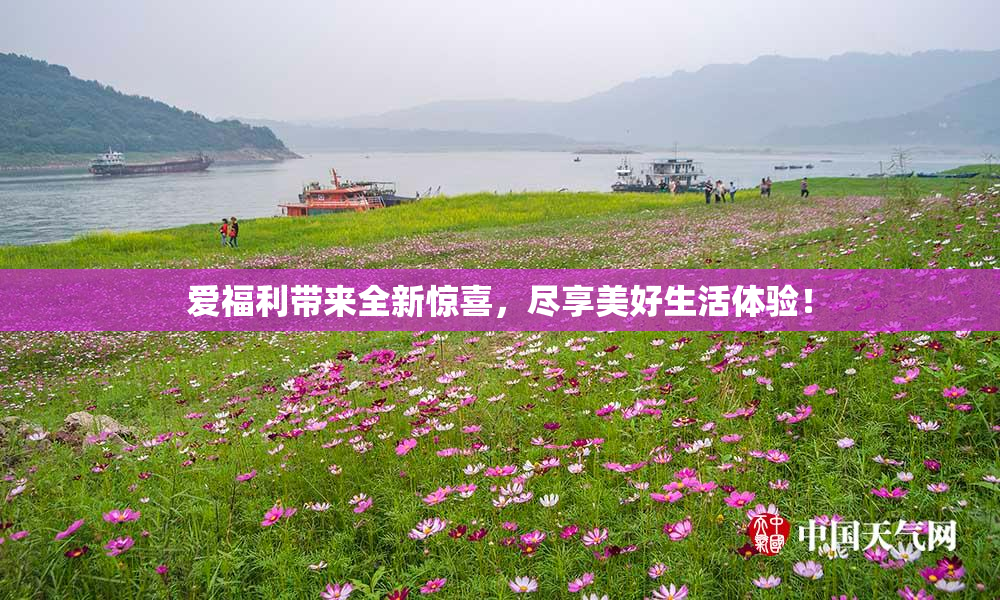 爱福利带来全新惊喜，尽享美好生活体验！