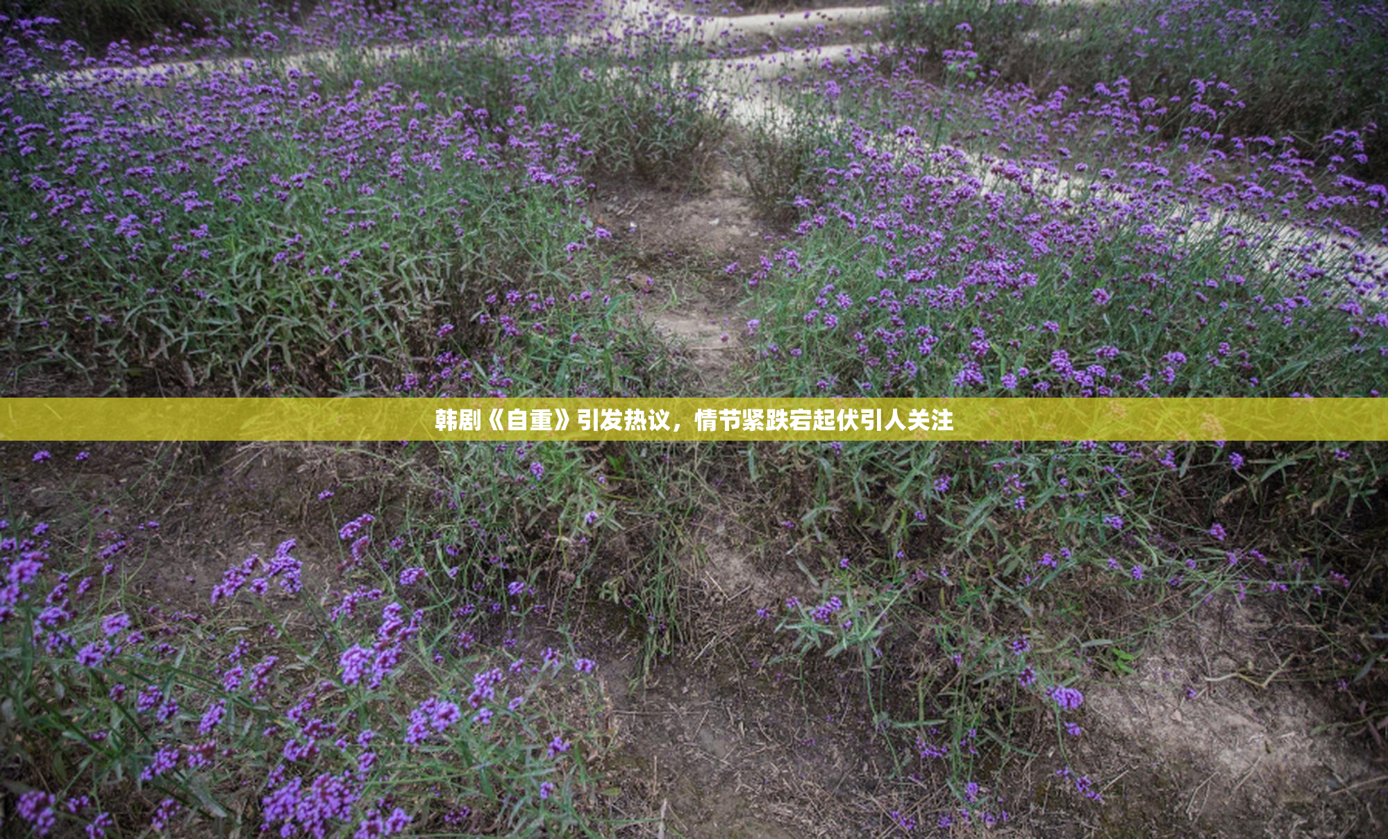 韩剧《自重》引发热议，情节紧跌宕起伏引人关注