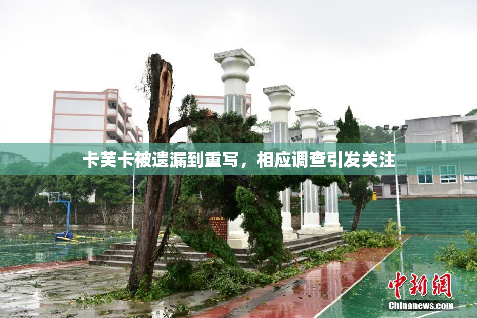 卡芙卡被遗漏到重写，相应调查引发关注