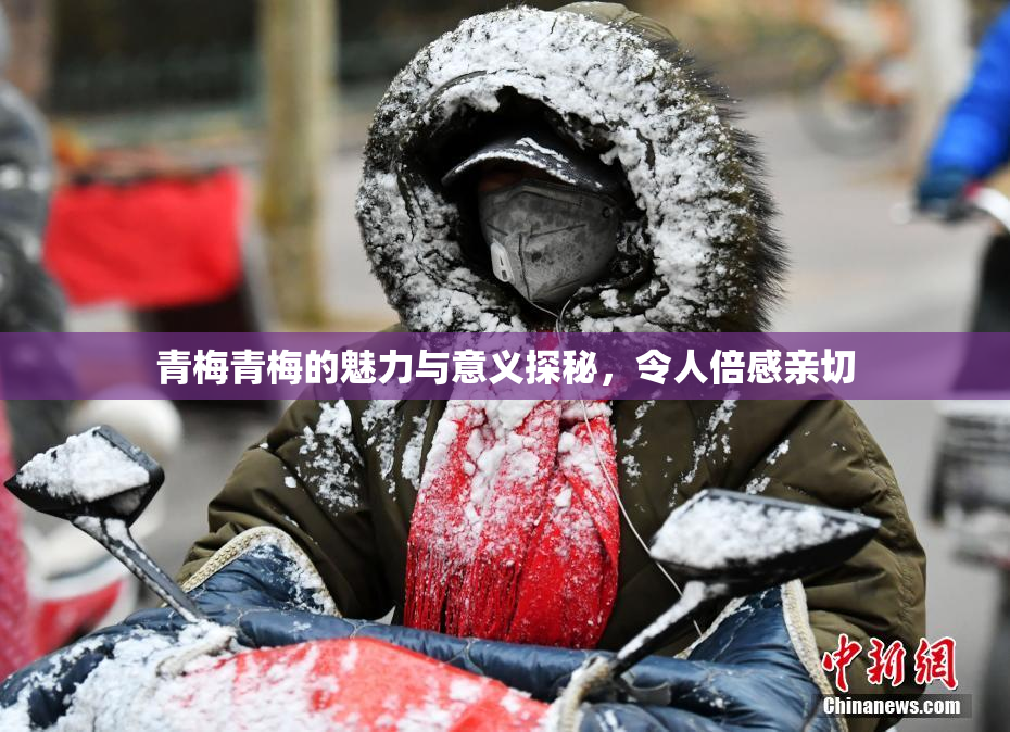 青梅青梅的魅力与意义探秘，令人倍感亲切