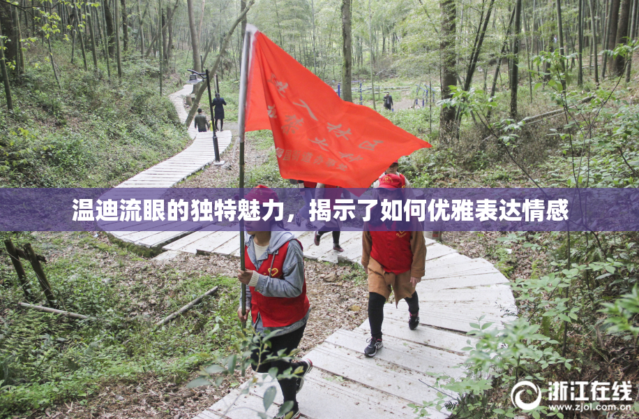 温迪流眼的独特魅力，揭示了如何优雅表达情感