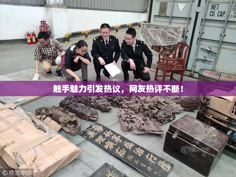 触手魅力引发热议，网友热评不断！