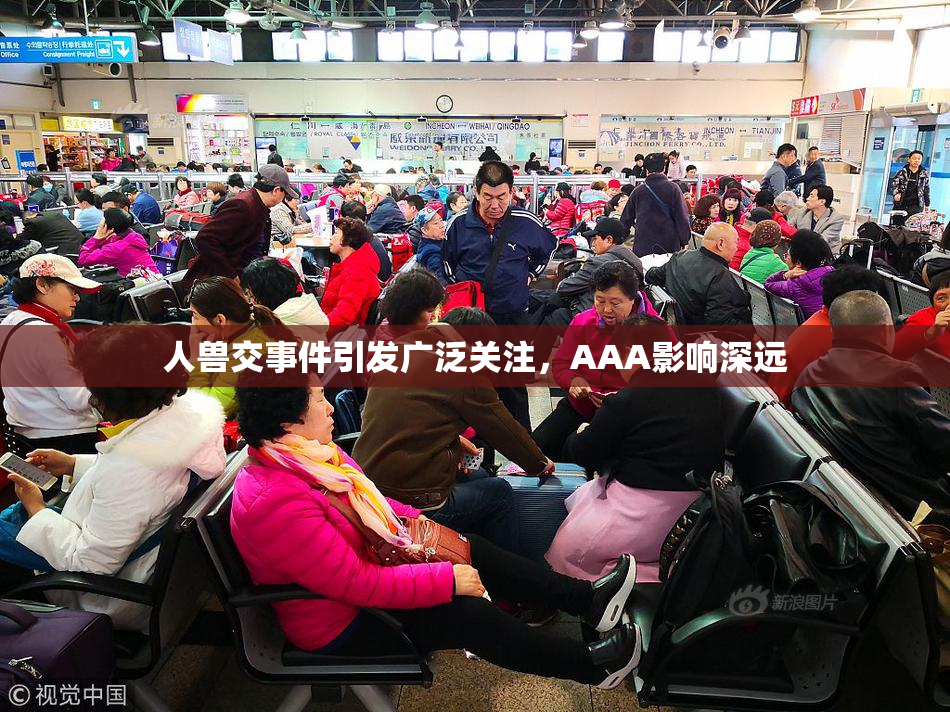 人兽交事件引发广泛关注，AAA影响深远