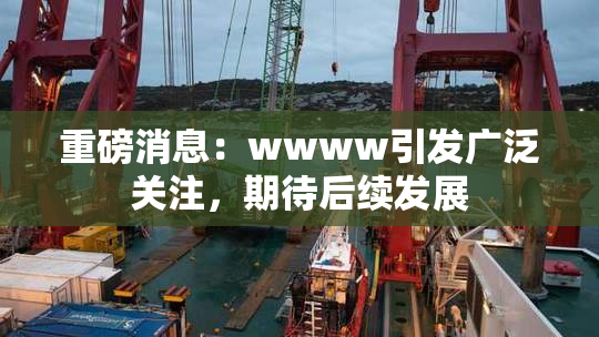 重磅消息：wwww引发广泛关注，期待后续发展