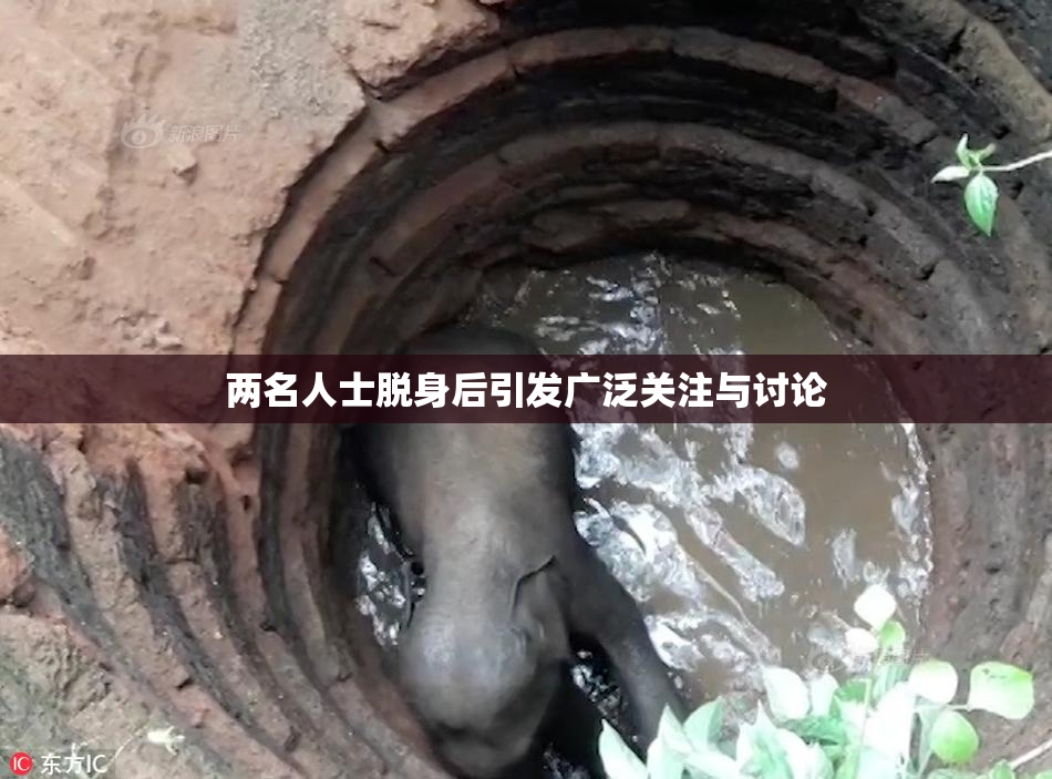 两名人士脱身后引发广泛关注与讨论