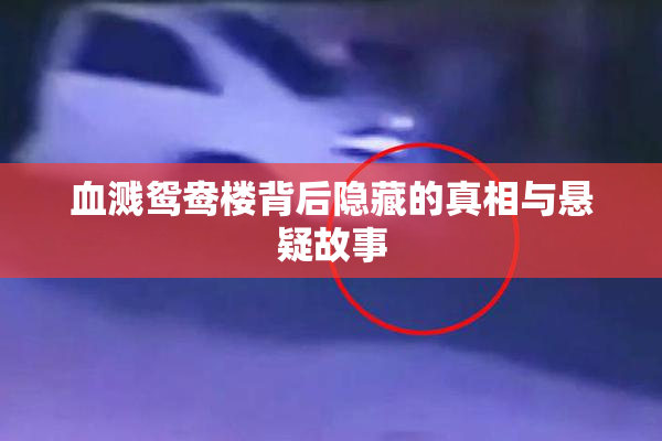 血溅鸳鸯楼背后隐藏的真相与悬疑故事