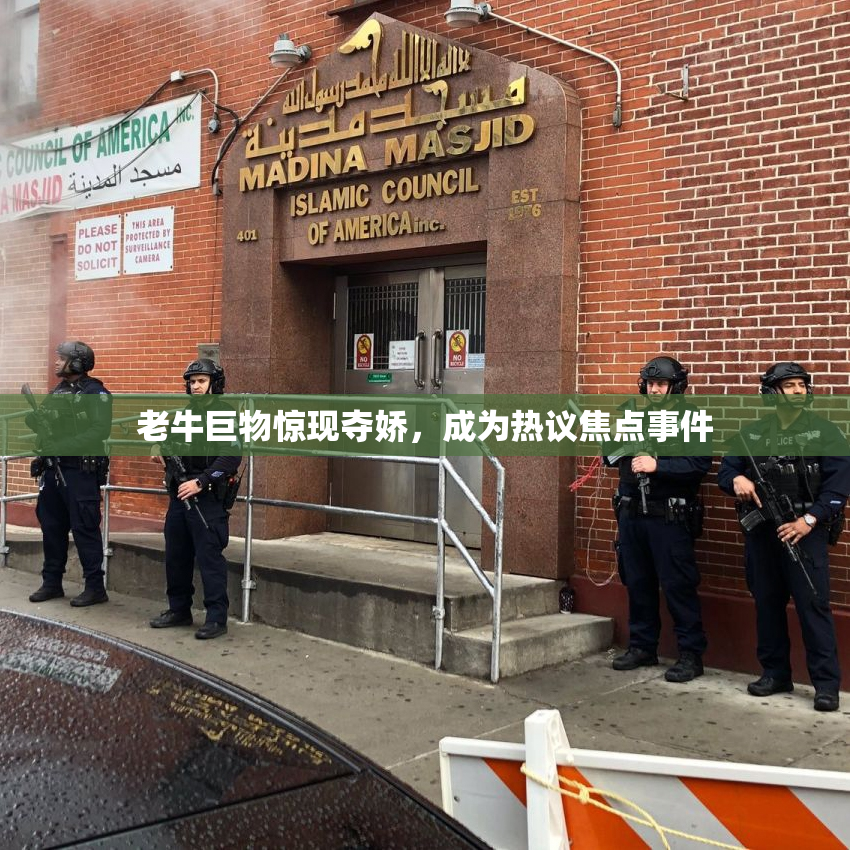 老牛巨物惊现夺娇，成为热议焦点事件