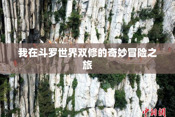 我在斗罗世界双修的奇妙冒险之旅