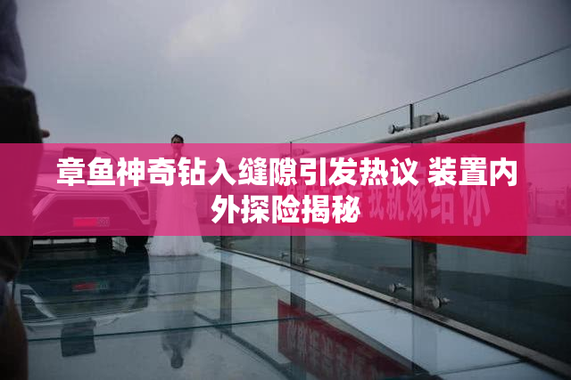 章鱼神奇钻入缝隙引发热议 装置内外探险揭秘
