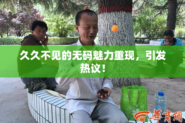 久久不见的无码魅力重现，引发热议！