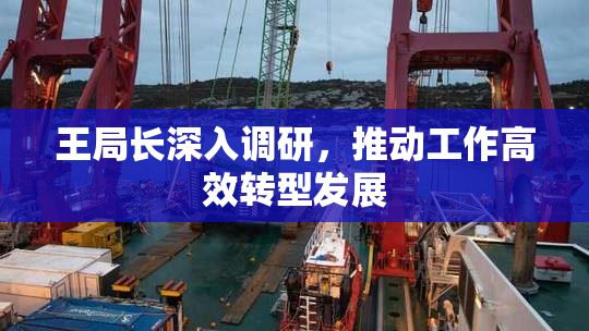 王局长深入调研，推动工作高效转型发展
