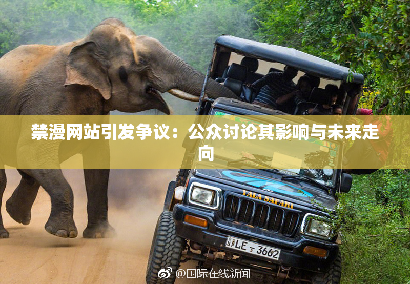 禁漫网站引发争议：公众讨论其影响与未来走向