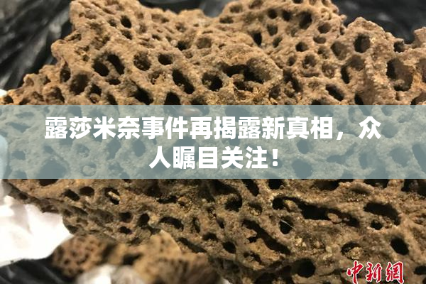 露莎米奈事件再揭露新真相，众人瞩目关注！