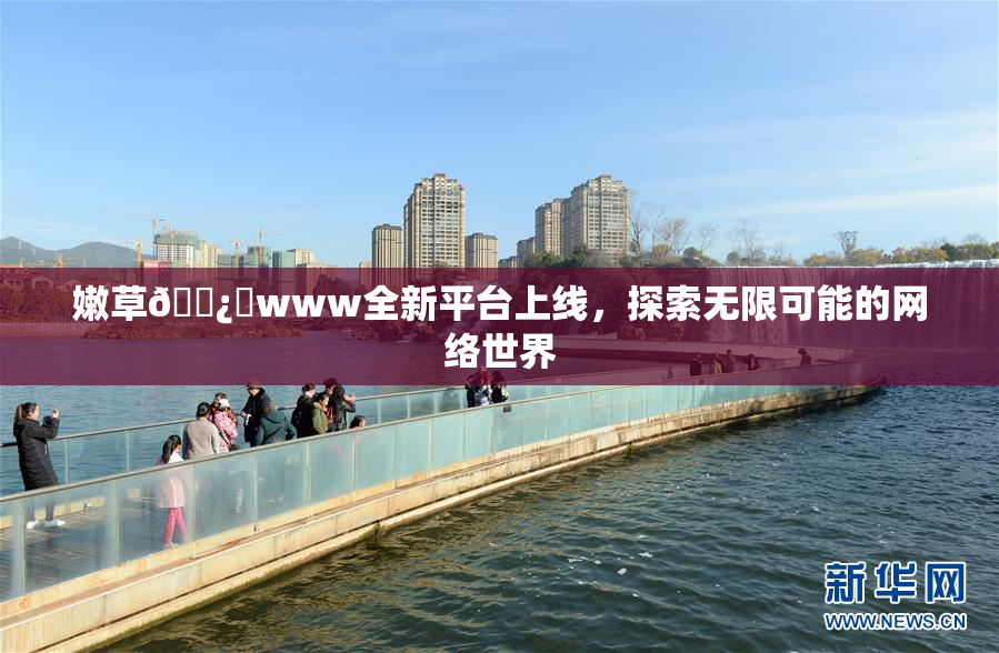 嫩草🌿‌www全新平台上线，探索无限可能的网络世界