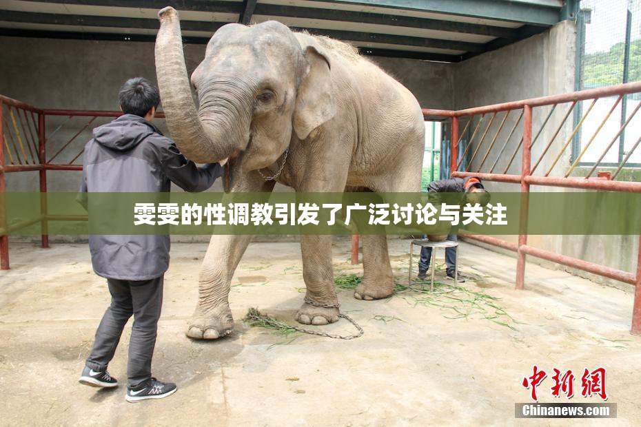 雯雯的性调教引发了广泛讨论与关注