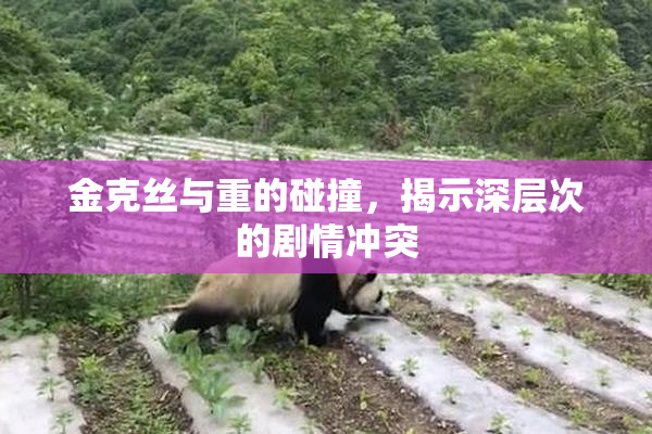金克丝与重的碰撞，揭示深层次的剧情冲突