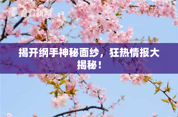 揭开纲手神秘面纱，狂热情报大揭秘！