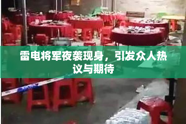 雷电将军夜袭现身，引发众人热议与期待
